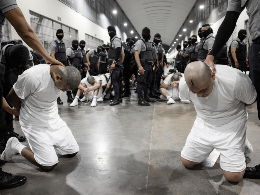 Trump Administration Deports Hundreds of Alleged Gang Members to El ...